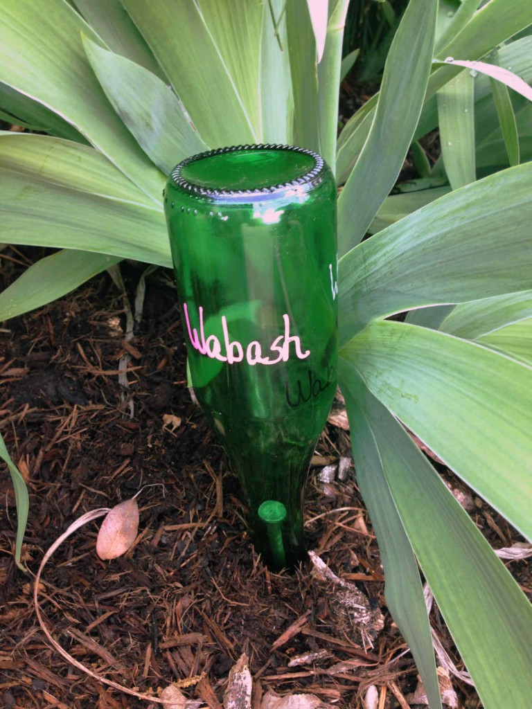 Bottle used as Plant Marker